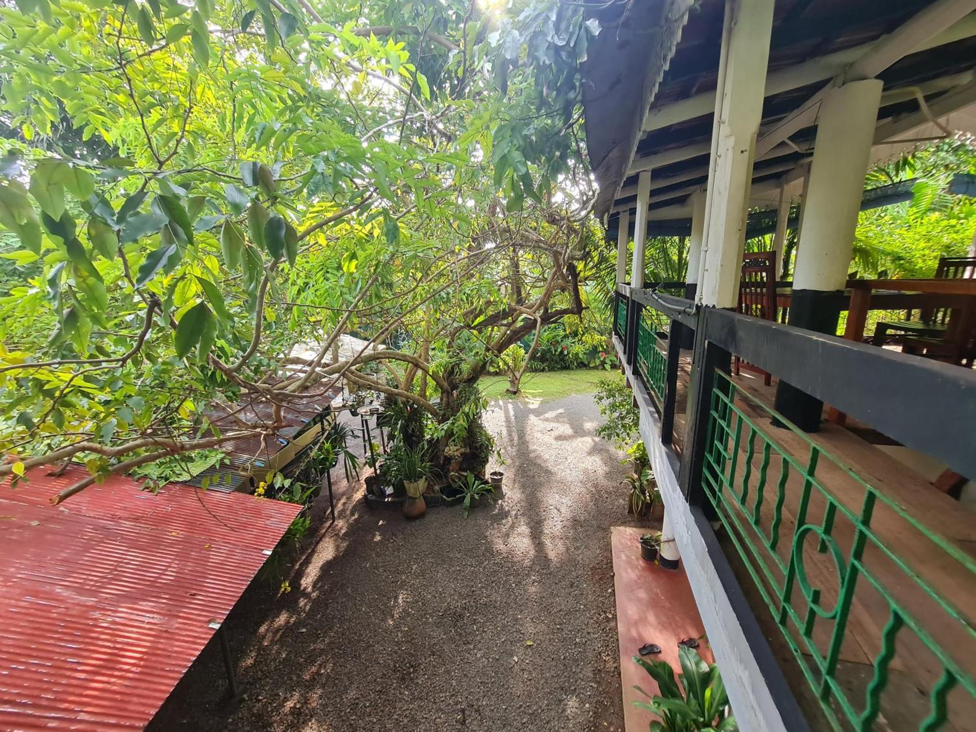 Hill Side Kings Villa Hikkaduwa Exterior photo
