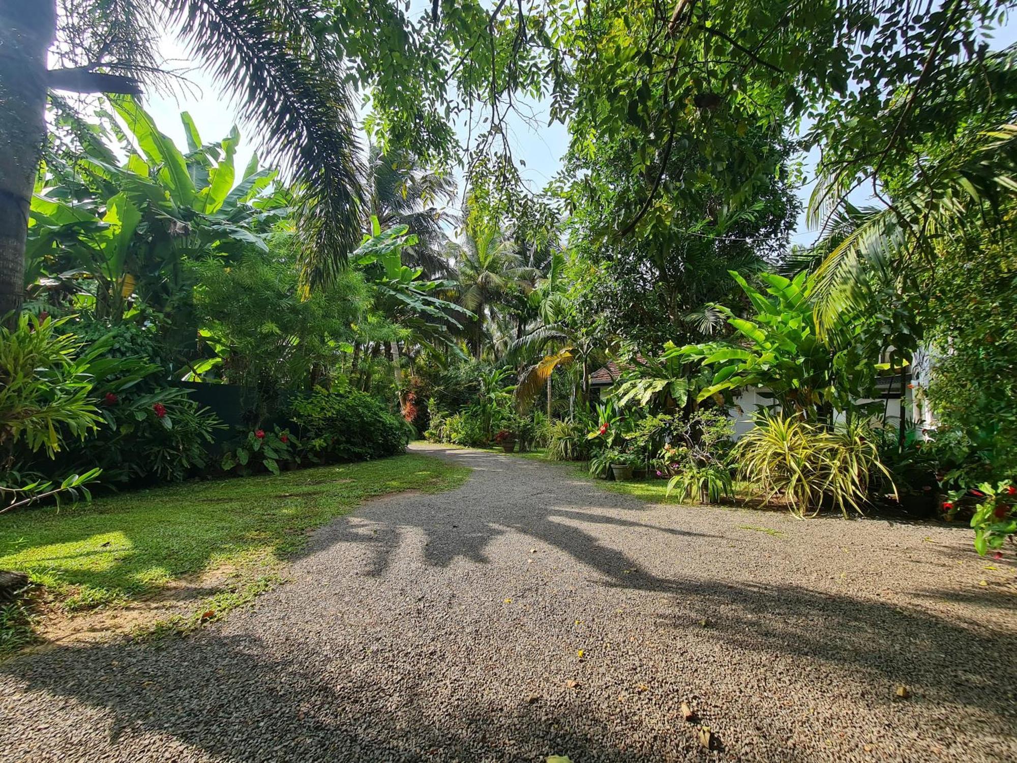 Hill Side Kings Villa Hikkaduwa Exterior photo