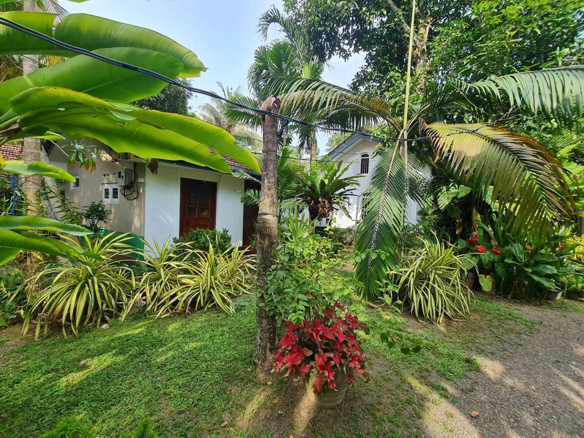 Hill Side Kings Villa Hikkaduwa Exterior photo